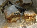 מוזיאון קטן-זכרון גדול