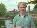 Bulding Fish Habitat