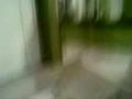 Squatters Cribs Series 1 Episode 1
