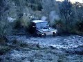 thru the bog