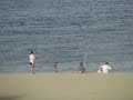 hassellhoff-sighting.html