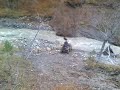 ATV vio nov 7