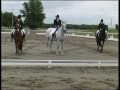 PRELIMINARY FEI WORLD CHALLENGE 2009.