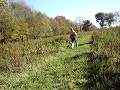 Millstream Preserve Pheasant Hunt 3