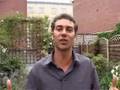 Power of One- Energy Tips