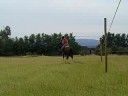 Lienzo