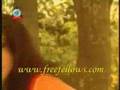 SHUBIR NONDI -ekta chilo shonar konna (alternative video)
