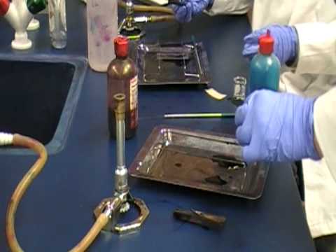 how to perform endospore stain