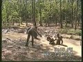 mud wrestling