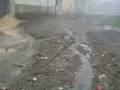 videos de tizi ouasli
