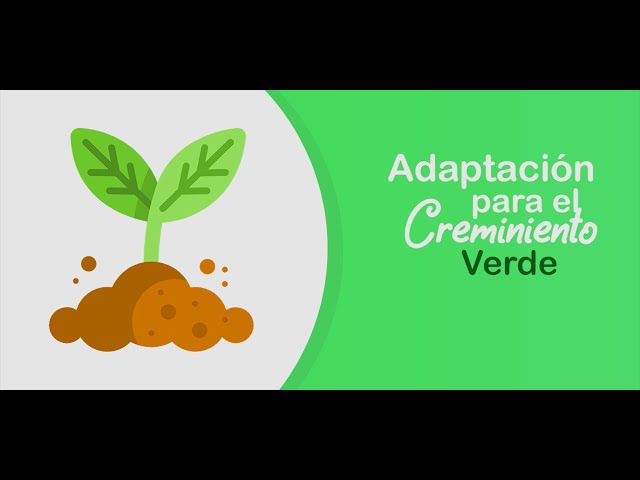 ADAPTACIÓN PARA EL CRECIMIENTO VERDE 🌱