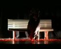 Chorégraphie A. Cantaloube sur une chanson de Lara Fabian