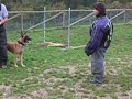 Mary - corso addestramento cani nov. 2005