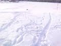 Tractor Wheel Down Snow Hill In Alconbury