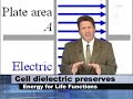 Membrane Power / Chapter 4