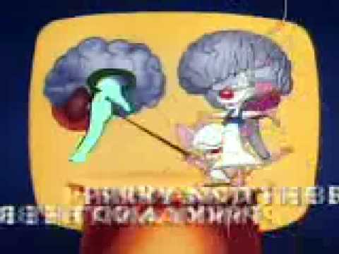 Imagen de previsualización de YouTube