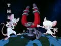 Pinky y cerebro - intro musikal