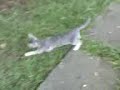 05-01-09 2012VIDEO-FELIX e BABY