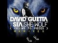 David Guetta – She Wolf