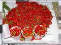 Feira do Nordeste - Rio de Janeiro's Northeastern Market
