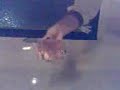 entierro de prepu entierro de prepu