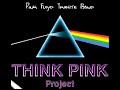 a live performance - milano 24/05/2008
think pink project a pink floyd tribute band - milano - italy