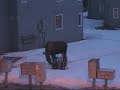 Moose