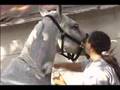 Happy Trails Carriage Service