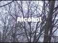 Anti Alcohol Promotional Video