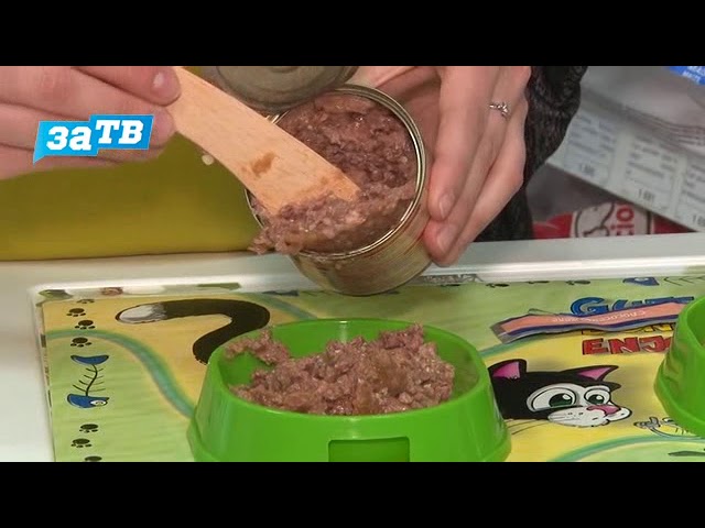 Планета ZOO\Влажные корма для кошек: состав, отличие, способ применения.