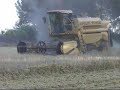 Segant ordi amb SD 2007- Cosechando cebada