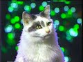 White Christmas (Blanca Navidad) Jingle Cats