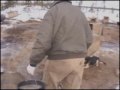 Baked Alaska trailer Baked Alaska trailer