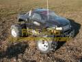 RC Cars FG Monster