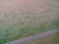 Fotbal - video 2