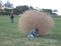 A Massive, Killer Tumble-Weed that tried to tumble us to death!