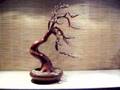 Bonsai Tree Sculpture #30 by Jim Shull