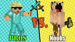 Incredibly STUPID Noobs VS SUPER Pros - Minecraft