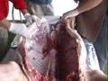 Myron Mixon's whole hog prep