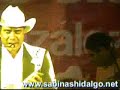 tigrillos en sabinas hidalgo