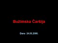 Buzimska carsija