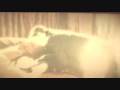 videos de twilight.wmv