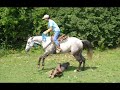 just a little video that features my beloved american quarter horse, tasmin.