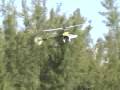 BLADE 400 RC HELICOPTER- PILOT: HIGINO OGURO - LOCAL : PARK AMELIA