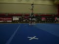 stunt group