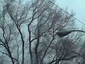 If you think the wind is bad today, I'd like to remind you of just seven short years ago. http://jerz.us/2r