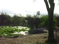 african safari