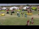 Brazen USDAA Nationals 2008