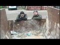 AATV vs. LiPo Battery
