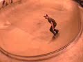 Mark Gonzales Leeds Demo